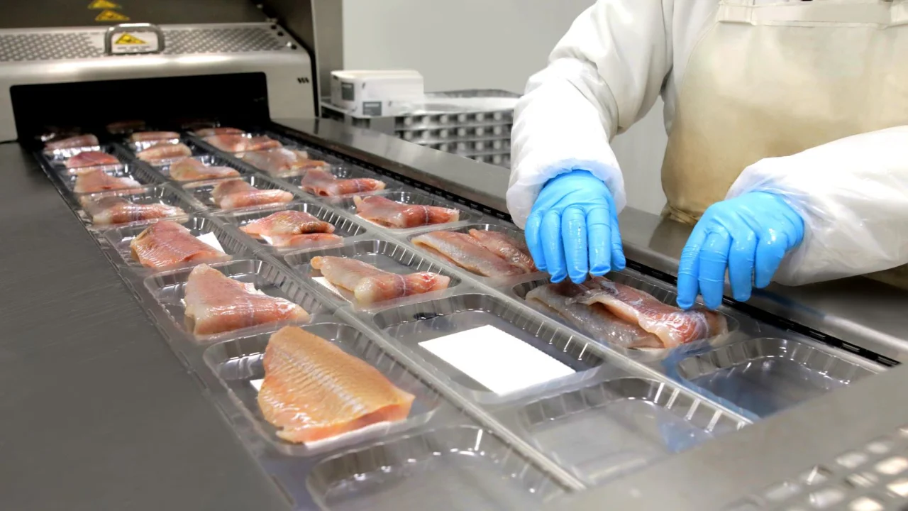 Effiziente End-of-Line-Lösungen für die Fischindustrie von Bizerba